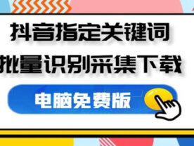 抖音视频解析盒子 指定关键词采集批量下载