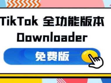 抖音采集/下载工具 TikTokDownloader 5.2 全能版