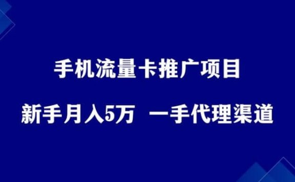 手机流量卡推广项目，新手月入5万+，附一手代理渠道。