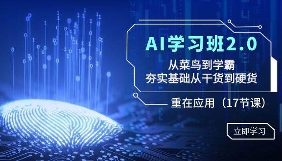 AI学习班2.0：从菜鸟到学霸，夯实基础从干货到硬货，重在应用（17节课）