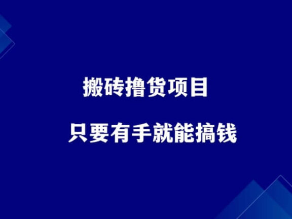 一个有手就能搞钱的项目——搬砖撸货！