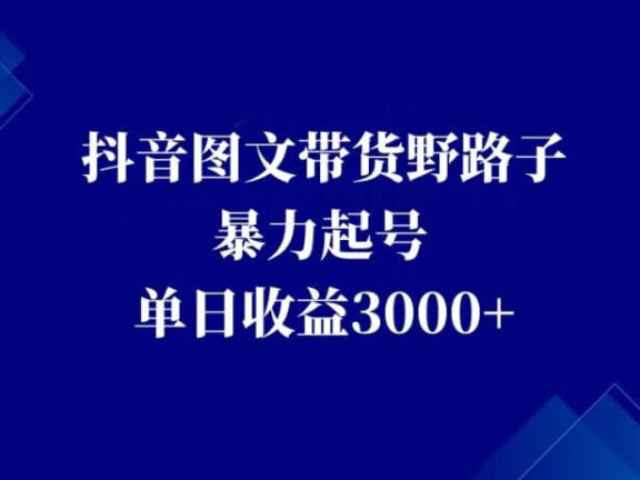抖音图文带货野路子，暴力起号，单日收益3000+！这个方法能够让你轻松赚取佣金！！