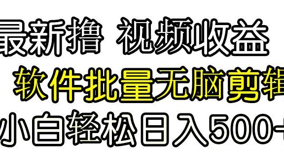 发视频撸收益，软件无脑批量剪辑，第一天发第二天就有钱