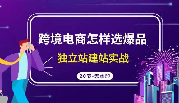 跨境电商怎样选爆品，独立站建站实战（20节高清无水印课）