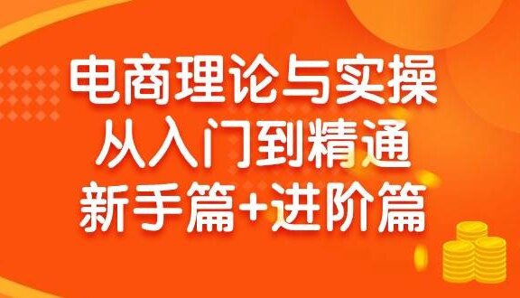 电商理论与实操从入门到精通 新手篇+进阶篇
