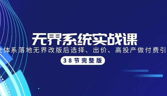 无界系统实战课：全体系落地无界改版后选择、出价、高投产做付费引流-38节