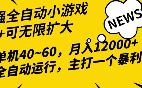 2024最新全网独家小游戏全自动，单机40~60,稳定躺赚，小白都能月入过万