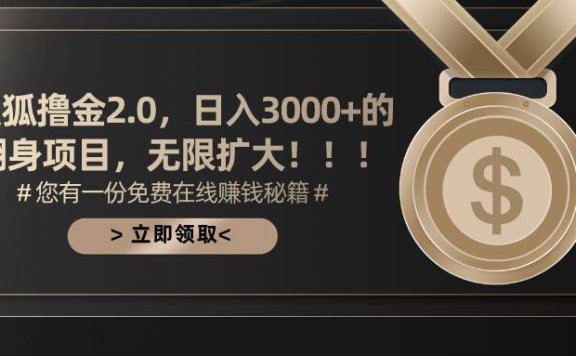 搜狐撸金2.0日入3000+，可无限扩大的翻身项目