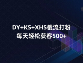 DY+KS+XHS截流打粉，每天轻松获客500+