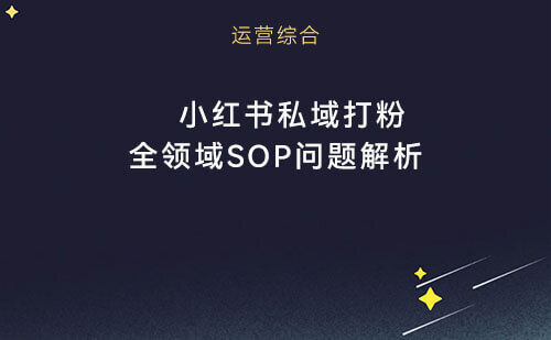 小红书私域打粉全领域SOP问题解析价值3980