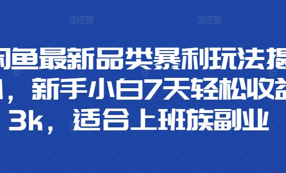 闲鱼最新品类暴利玩法揭秘，新手小白7天轻松赚3000+，适合上班族副业