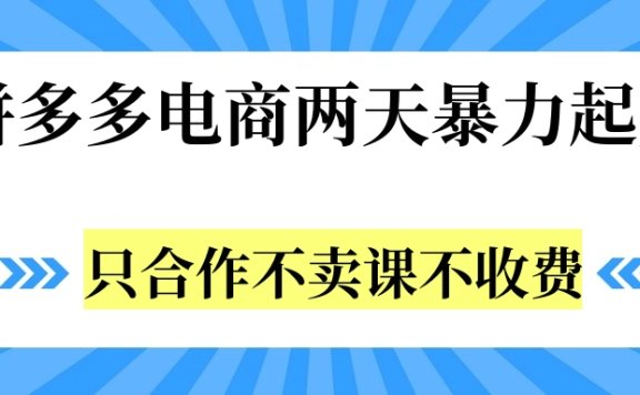拼多多两天暴力起店，只合作不卖课不收费