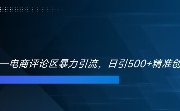 双十一电商评论区暴力引流，日引500+精准创业粉！！！