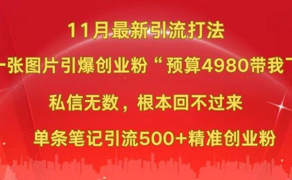 小红书11月最新图片打法，一张图片引爆创业粉“预算4980带我飞”，私信无数，根本回不过来，单条笔记引流500+精准创业粉