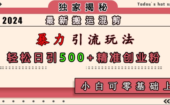 最新搬运混剪暴力引流玩法，轻松日引500+精准创业粉，小白可零基础上手