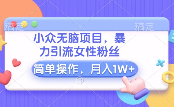 小众无脑项目，暴力引流女性粉丝，简单操作，月入10000+元