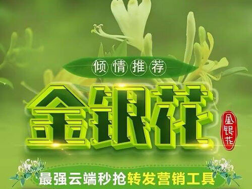 云端金银花，同步跟随转发朋友圈软件官方微信一键转发