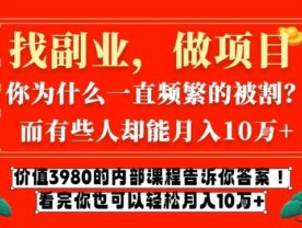 价值3980的网创内部课程，告诉你互联网创业月入10个W的秘密【揭秘】