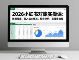 2026小红书对账实操课：数据导出、收入成本核算、经营分析，掌握全流程