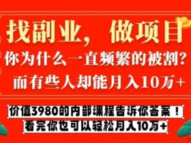 价值3980的网创内部课程，告诉你互联网创业月入10个W的秘密【揭秘】