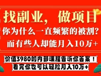 价值3980的网创内部课程，告诉你互联网创业月入10个W的秘密【揭秘】