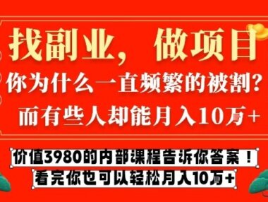 价值3980的网创内部课程，告诉你互联网创业月入10个W的秘密【揭秘】