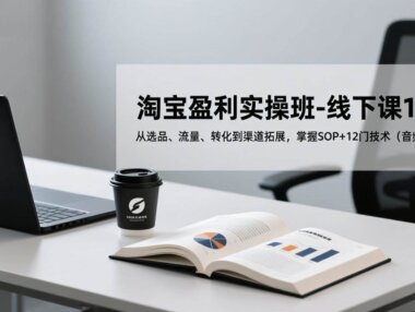 淘宝盈利实操班-线下课12月，从选品、流量、转化到渠道拓展，掌握SOP+12门技术（音频+字幕）